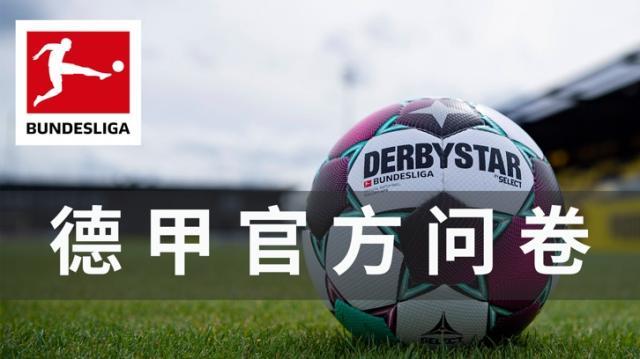 v站-【签名球衣】德甲重金悬赏！急！在线等！足球迷速进！